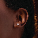 14K Rose 2  1/2 CTW Lab-Grown Diamond Stud Earrings